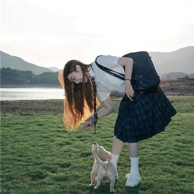 完美家庭