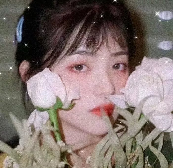 十二猴子
