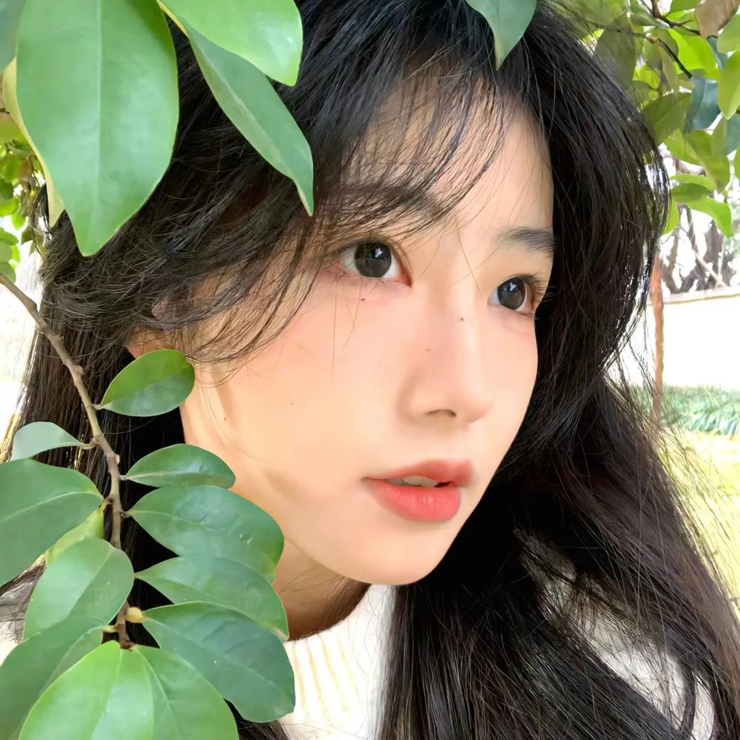情深缘起